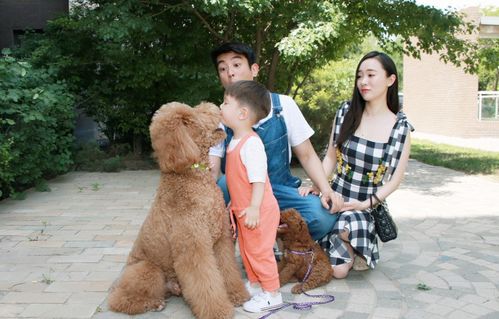 狗狗當“家教” 萌寵叼衣架監(jiān)督小主人寫作業(yè)，神似操心老母親